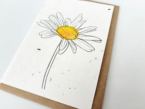 Daisy Blank - Plantable Greetings Seed Card