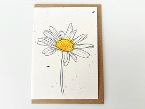 Daisy Blank - Plantable Greetings Seed Card